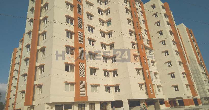 NCL Sindhu cover image